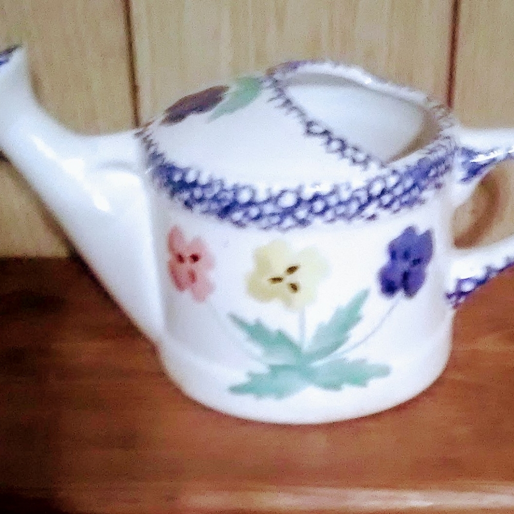 Watering container